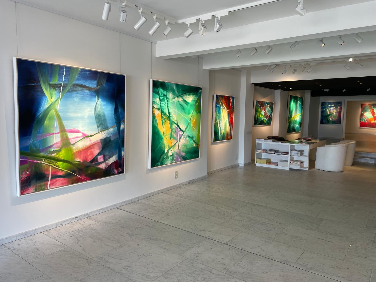 Claus Bertermann solo exhibition at Robinsons Art Gallery Knokke Belgim in 2024